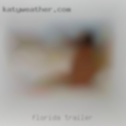 Florida trailer swingers